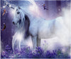 Mystical Unicorn and Fairies Fantasy Blanket Super Soft Silk Touch Plush Fleece Throw 50" X 60"